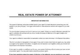 Real Estate Power of Attorney Template