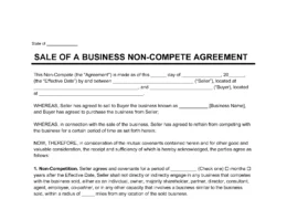 Sale of a Business Non-Compete Agreement