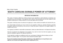 South Carolina Durable Power of Attorney Form
