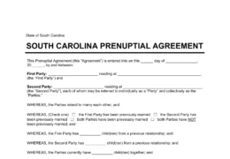 South Carolina Prenuptial Agreement Template