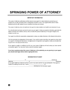 Springing Power of Attorney Form