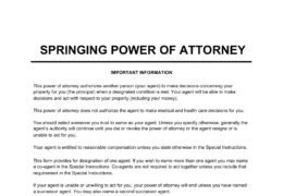 Springing Power of Attorney Form
