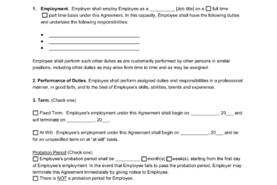 Texas Employment Contract Template