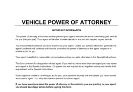 Vehicle Power of Attorney Form
