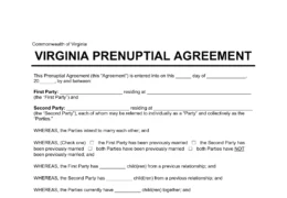 Virginia Prenuptial Agreement Template