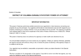 Washington DC Durable Statutory Power of Attorney Form