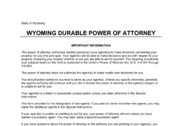 Wyoming Durable Statutory Power of Attorney Form