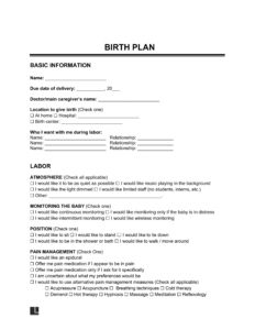 Free Birth Plan Template | PDF & Word
