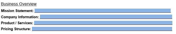 An example of where you should include business overview information in our one-page business plan template