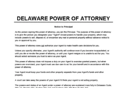 Delaware Power of Attorney Form