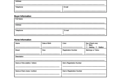 horse bill of sale template