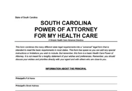 South Carolina Health Care Power of Attorney Form