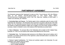 Partnership Agreement Sample