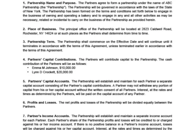 Partnership Agreement Sample