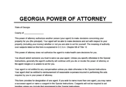 Georgia Power of Attorney Form