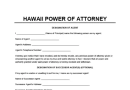Hawaii Power of Attorney Form
