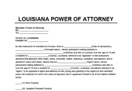Louisiana Power of Attorney Form