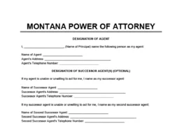 Montana general power of attorney form screenshot