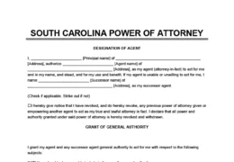 South Carolina power of attorney form