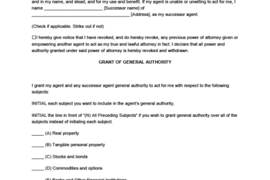 South Carolina power of attorney form