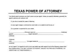 Texas power of attorney form