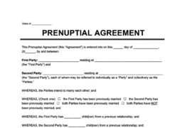 Prenuptial Agreement Sample