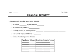 Financial Affidavit Form