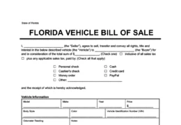 florida vehicle bill of sale