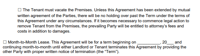 lease-agreement-form-term-section