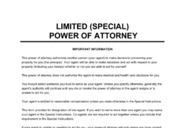 limited power of attorney form