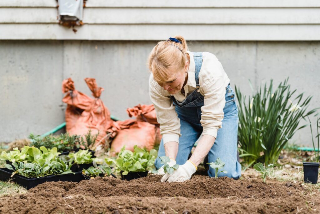 Summer Home Maintenance Checklist Legal Templates   Woman Doing Outdoor Home Maintenance In The Summer 1024x683 